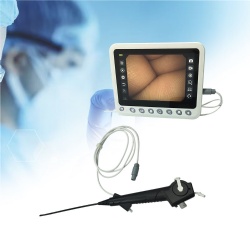 Disposable Endoscope
